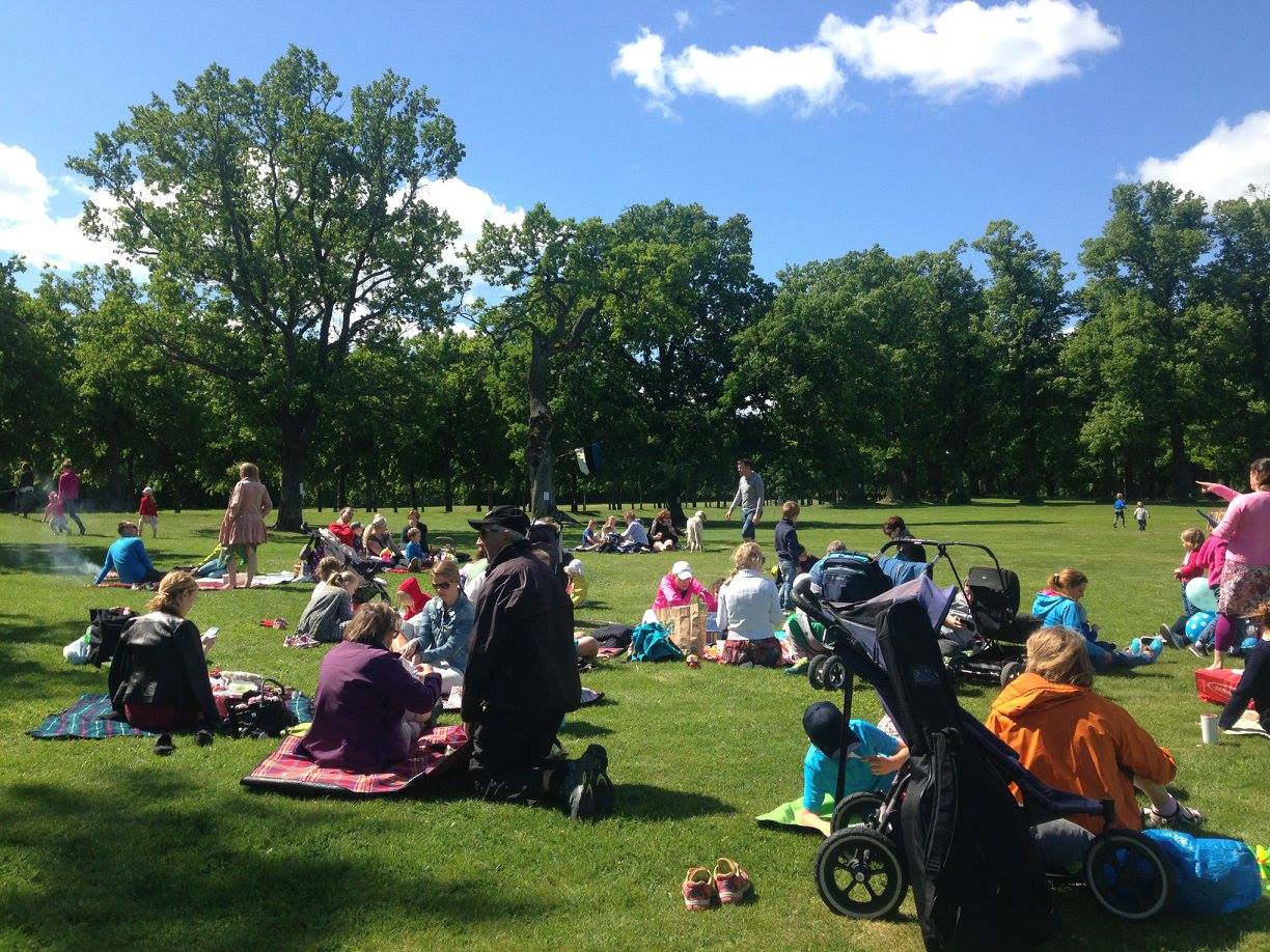 Perepiknik 2016 pered