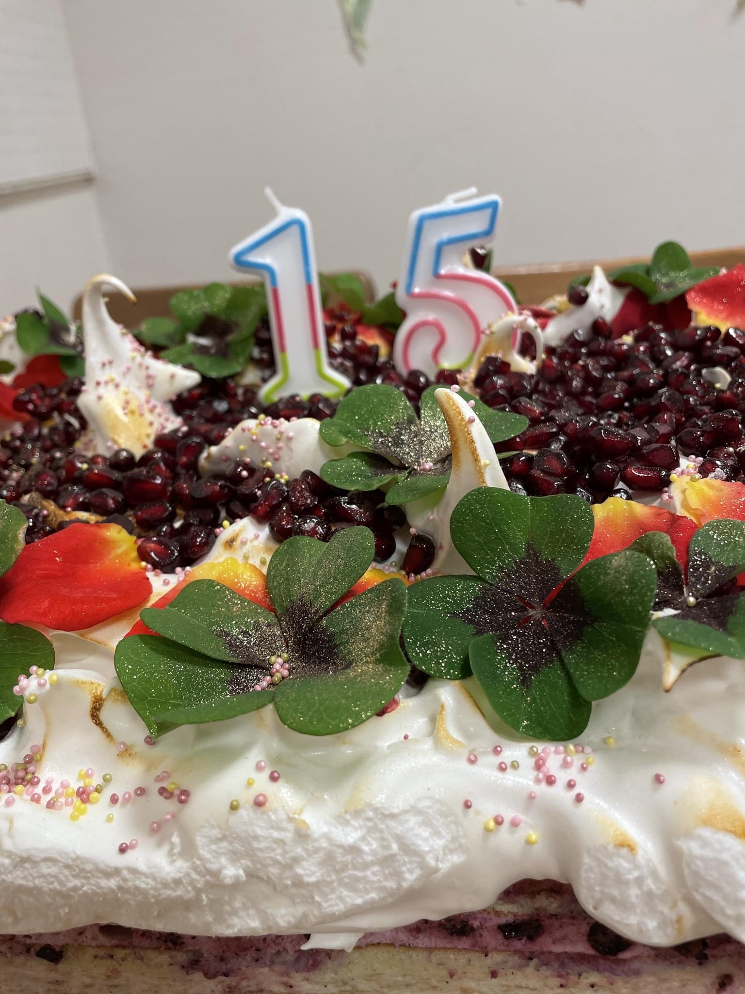 Huvikool 15 IMG-2478